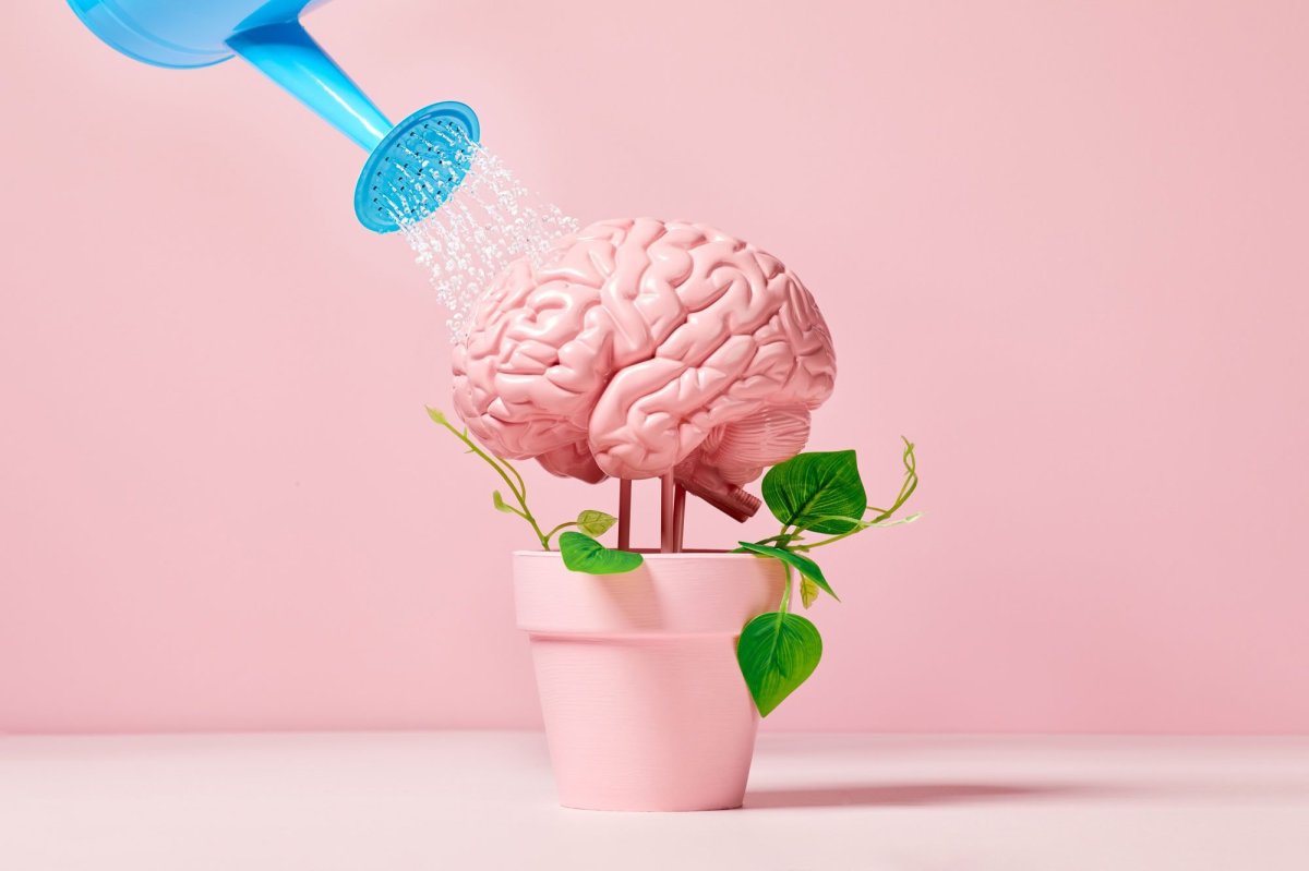 How to Be Smart: 16 Strategies for Boosting Your Brainpower Smart Decor Ideas for Mid-Century Modern Homes