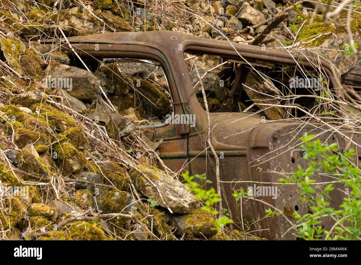 Erosion control hi-res stock photography and images - Alamy How to Control Smart Devices with Gestures